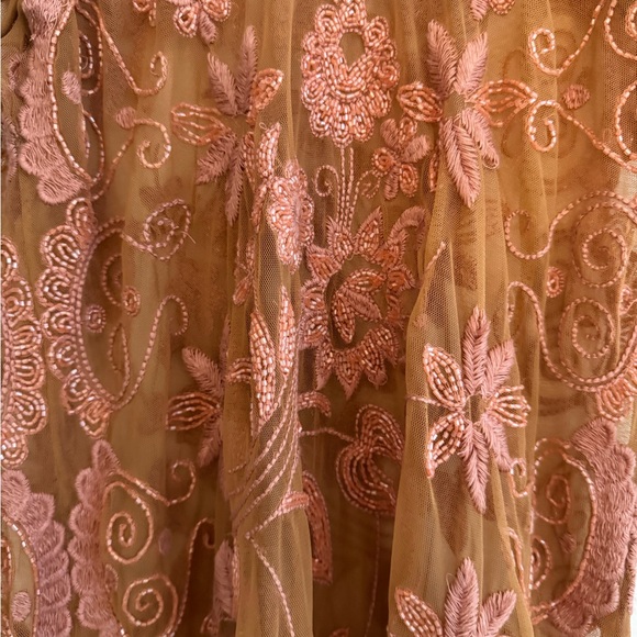 Free People Pink and Brown Lace Mini Dress - Picture 5 of 6